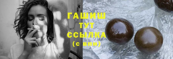 индика Белокуриха