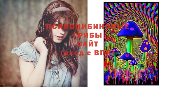 дурь Беломорск