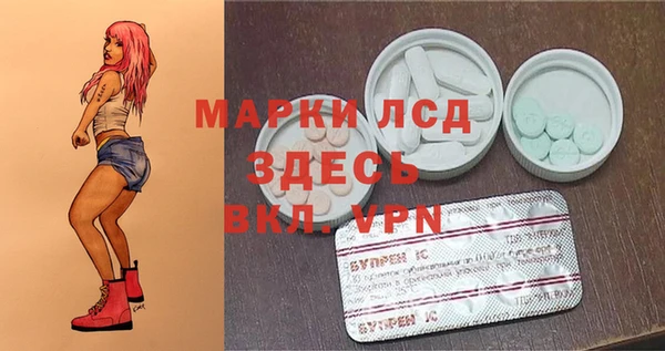 индика Белокуриха