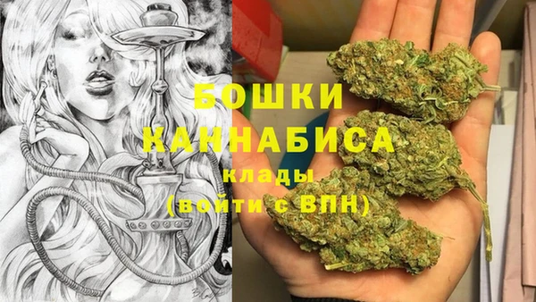 индика Белокуриха