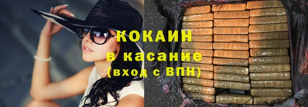 индика Белокуриха