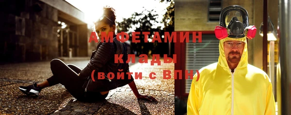 индика Белокуриха