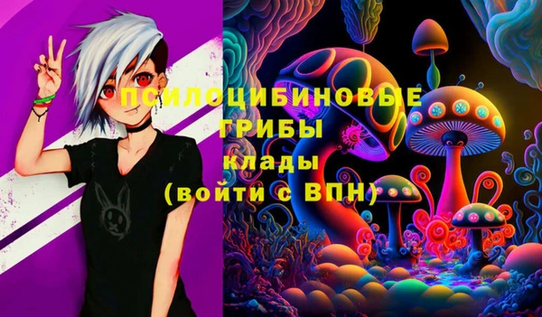 спиды Белоозёрский