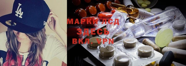 индика Белокуриха