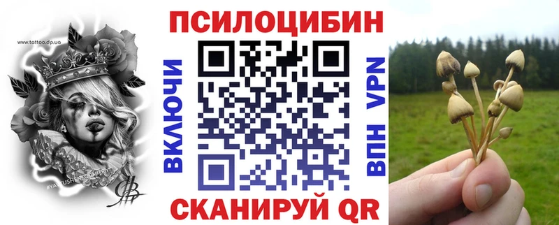 Галлюциногенные грибы мухоморы  магазин  наркотиков  Няндома 